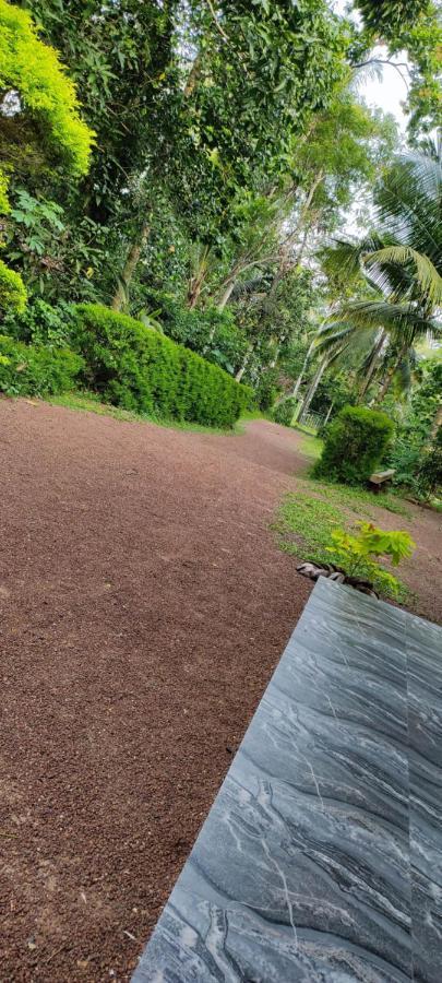 Sunset Villa Negombo Dış mekan fotoğraf