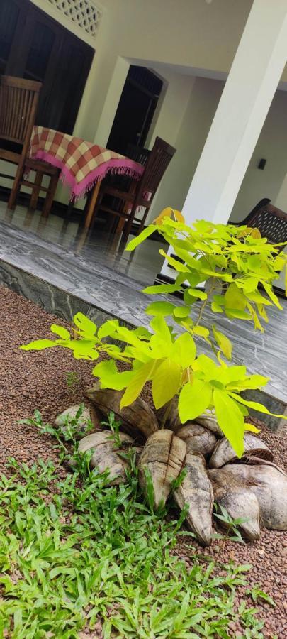 Sunset Villa Negombo Dış mekan fotoğraf