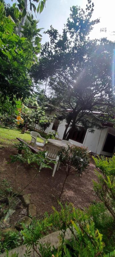 Sunset Villa Negombo Dış mekan fotoğraf